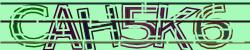 Darstellung des Captcha-Codes.