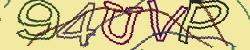 Darstellung des Captcha-Codes.