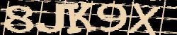 Darstellung des Captcha-Codes.