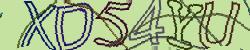 Darstellung des Captcha-Codes.