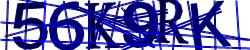 Darstellung des Captcha-Codes.