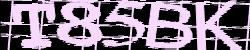 Darstellung des Captcha-Codes.
