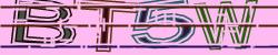Darstellung des Captcha-Codes.