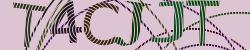 Darstellung des Captcha-Codes.