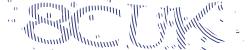 Darstellung des Captcha-Codes.