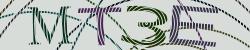 Darstellung des Captcha-Codes.