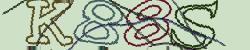 Darstellung des Captcha-Codes.