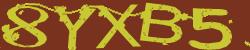 Darstellung des Captcha-Codes.