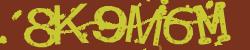 Darstellung des Captcha-Codes.