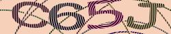 Darstellung des Captcha-Codes.